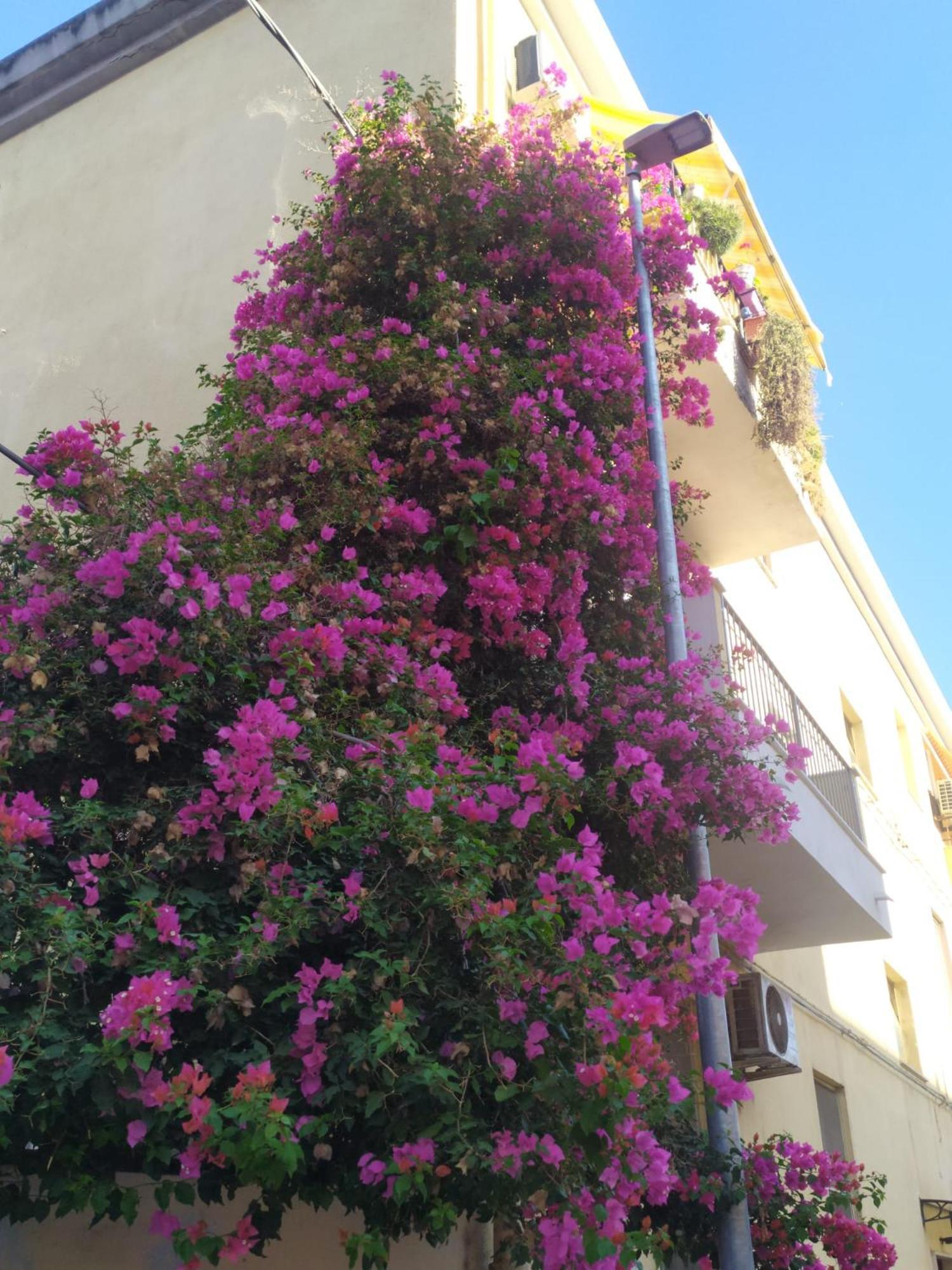 Apartamento Lormar House Oristano Exterior foto
